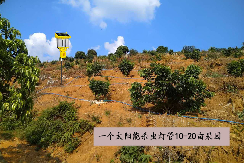 山地果園用亚洲AV成人网站在线观看麻豆優勢效益分析