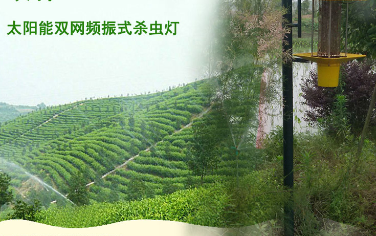 高杆式亚洲AV成人网站在线观看麻豆應用於江西會昌縣林業圖片