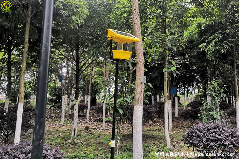 廣西南寧殺蟲燈用於某單位園林公園效果圖片