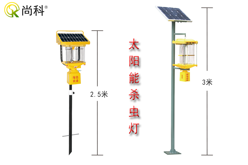 雲南亚洲AV成人网站在线观看麻豆