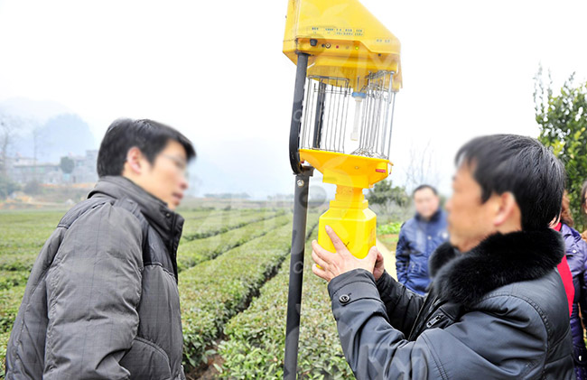 亚洲AV成人网站在线观看麻豆燈具安裝攻略，注意事項大全，一定要看